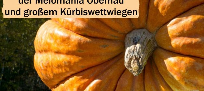 1. Obernauer Kürbisfest